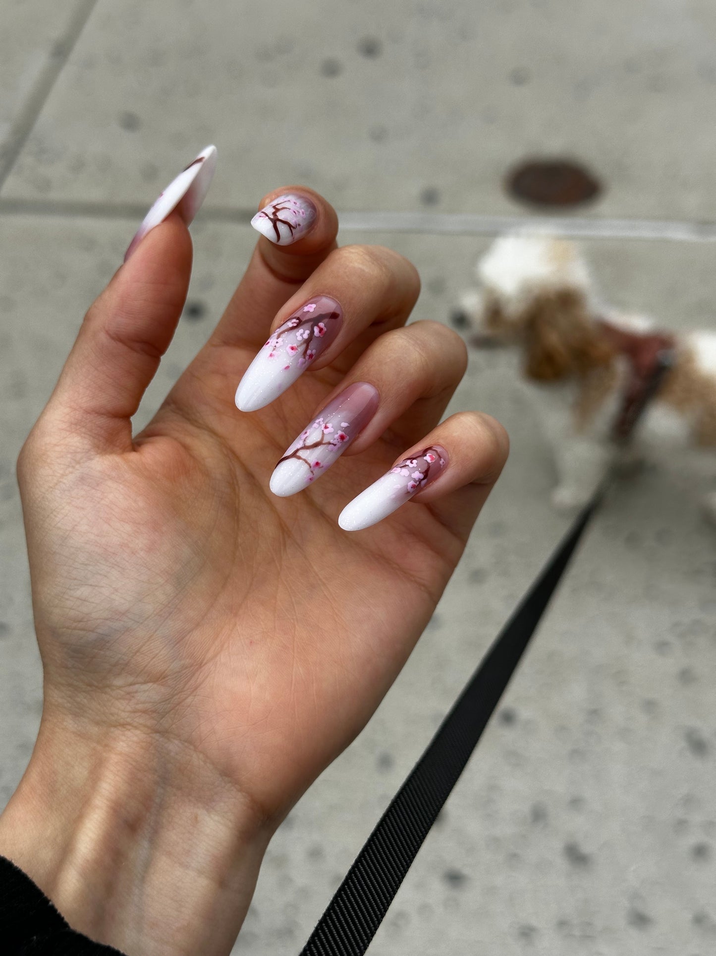Gel Nail Extensions